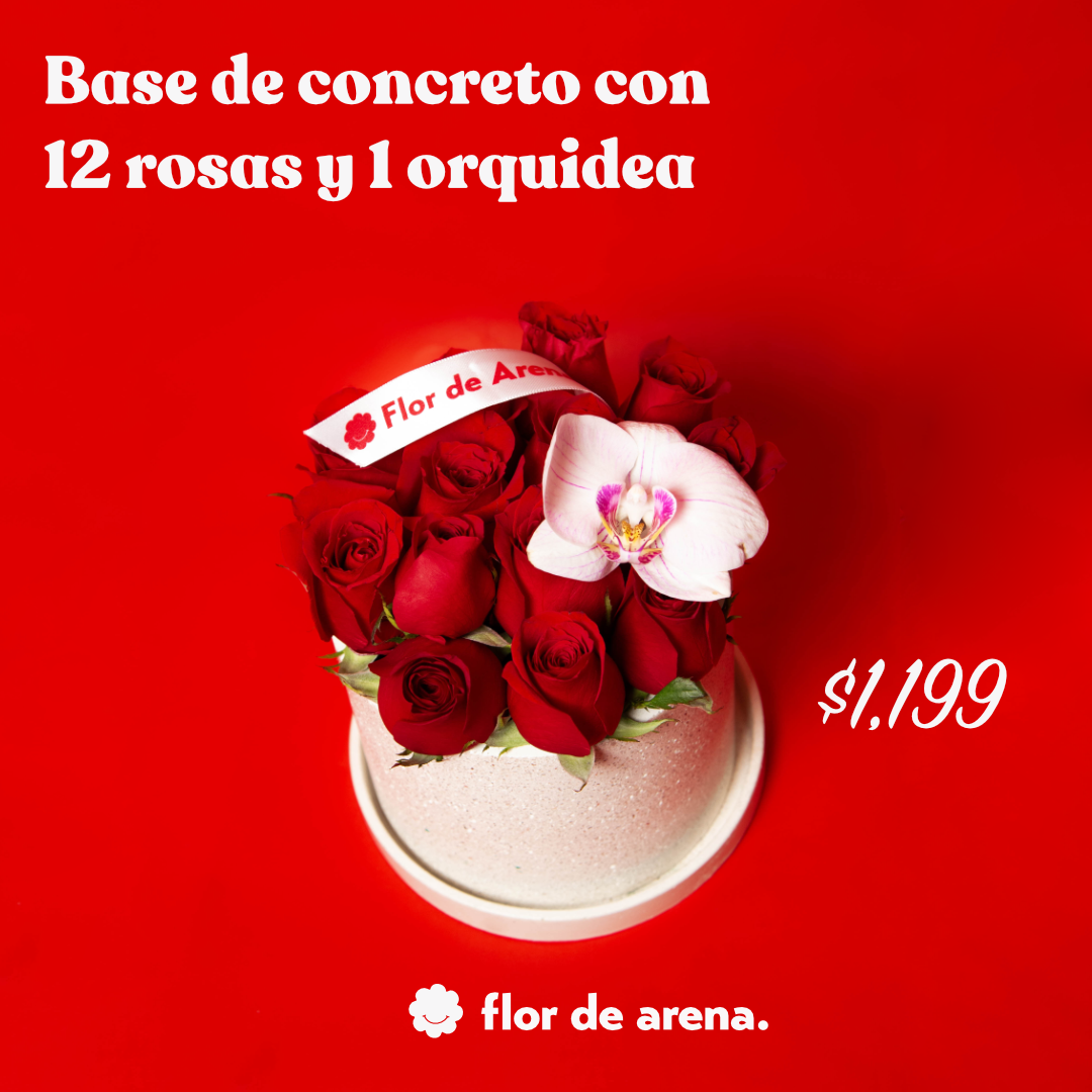 Base de concreto con 12 rosas y orquídea San Valentín 2026